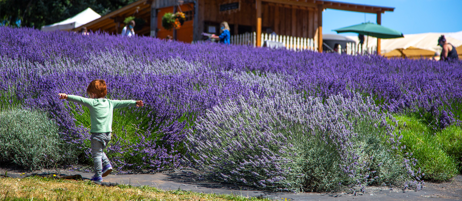 Willamette River - Photo By Todd Klingler