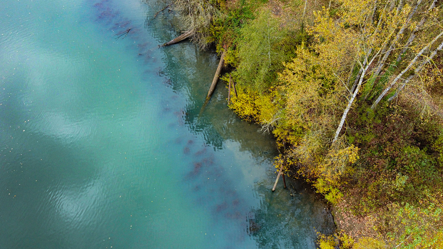 Willamette River from above - Photo by Ron Miller