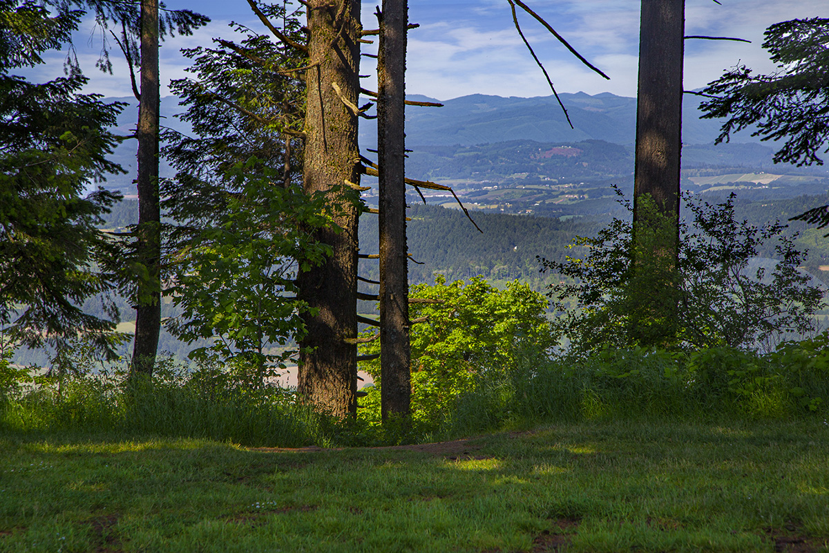BaldPeak 1669