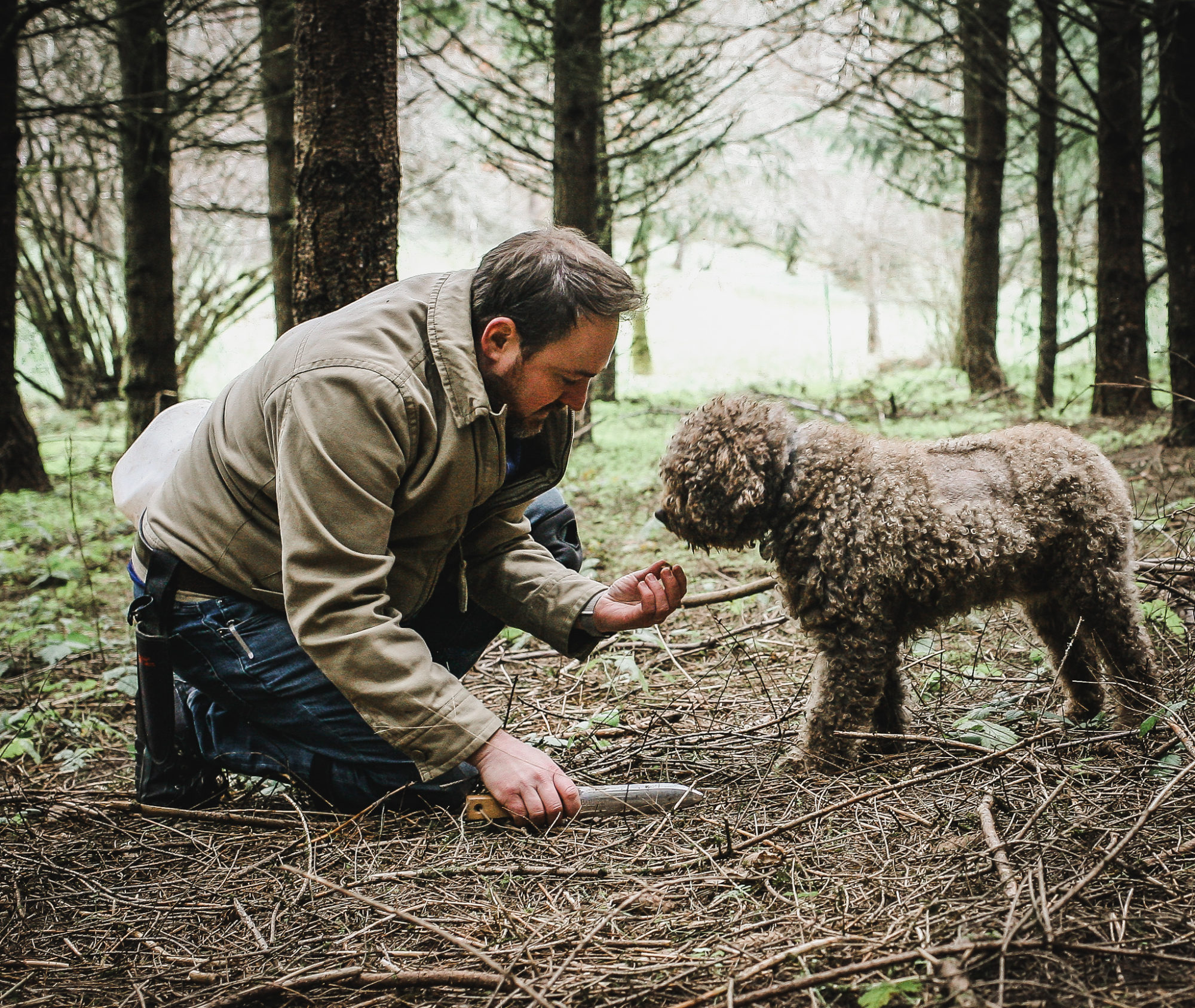 Truffle Tours — Black Tie Tours