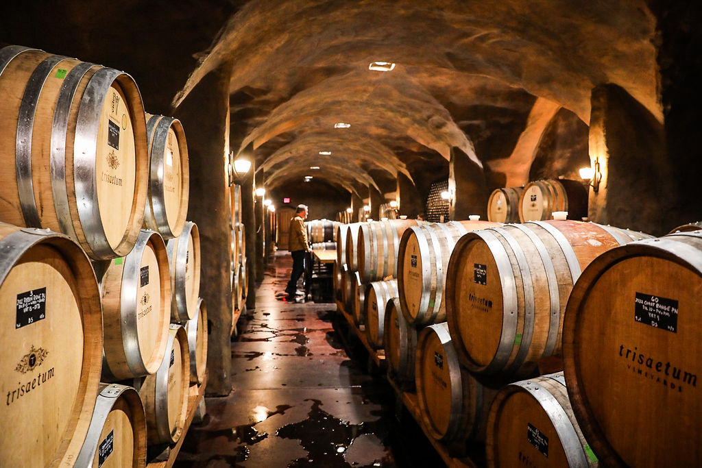 Cellar at Trisaetum Vineyards