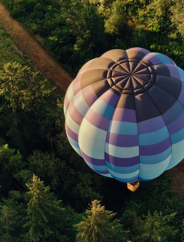 Aerial view of a purple and blue hot air balloon floating above a green forest at sunrise.