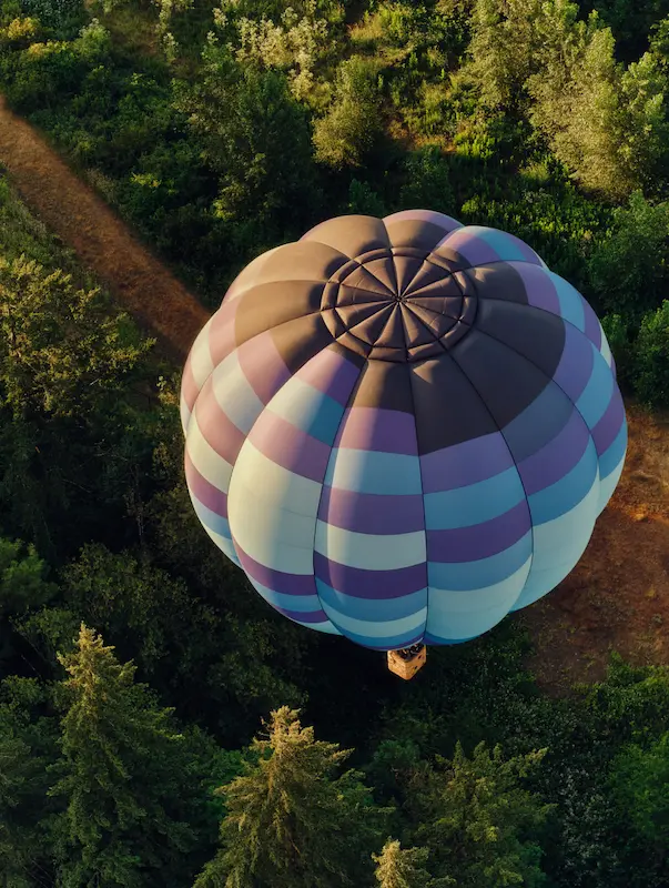 Aerial view of a purple and blue hot air balloon floating above a green forest at sunrise.