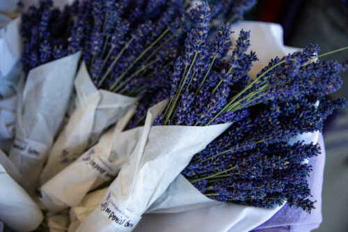 lavender bouquet
