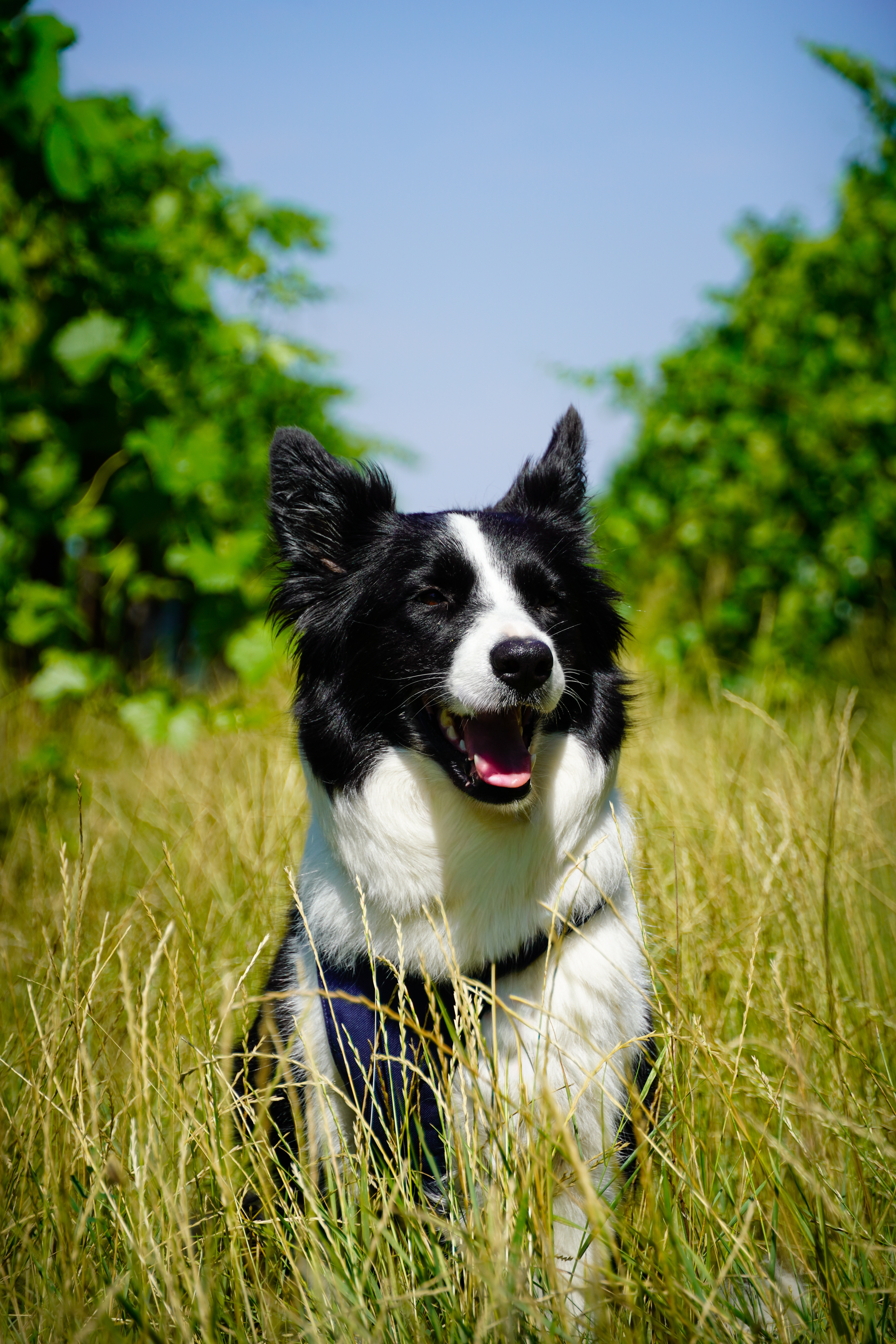 AdobeStock 1700113892