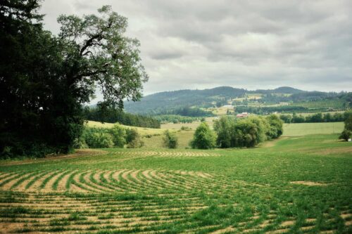Landscape view of scenic farm land