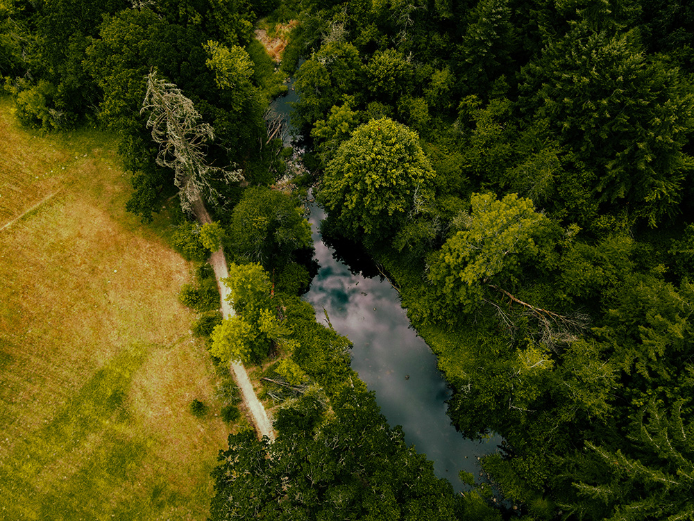 Chehalem Park and Recreation ewing young park 1