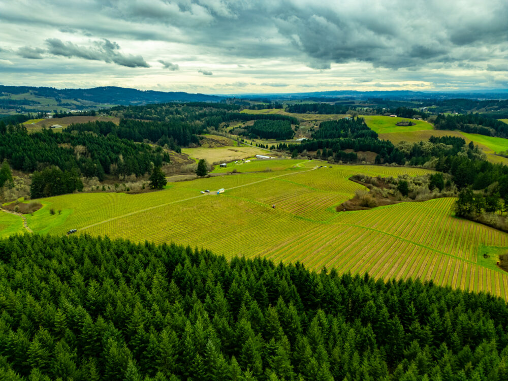 oregon willamette valley wine country 55115343325 o