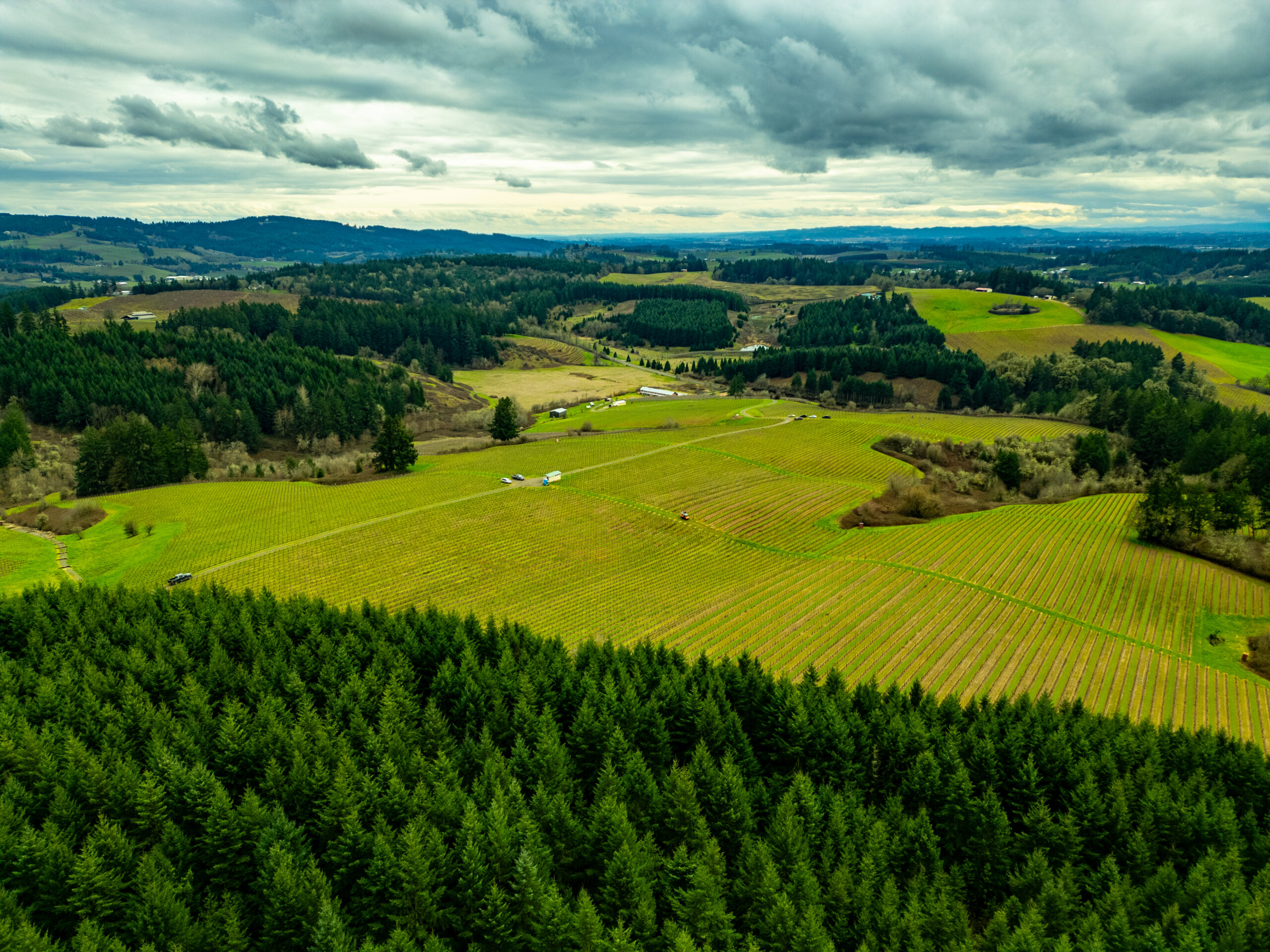 oregon willamette valley wine country 55115343325 o